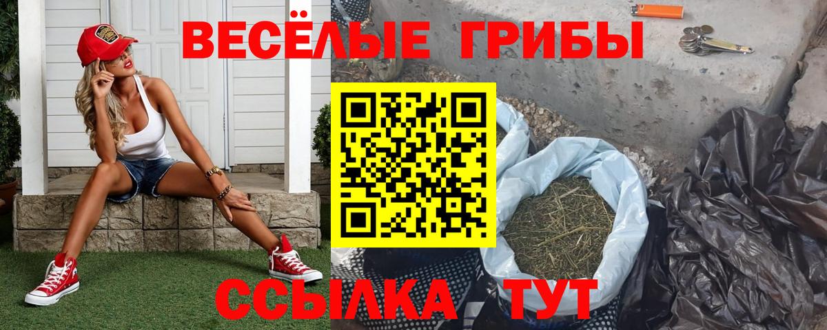 Галлюциногенные грибы Cubensis  Вход с VPN  Мариинск 