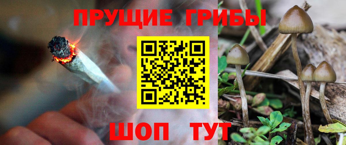 Галлюциногенные грибы MAGIC MUSHROOMS Мариинск